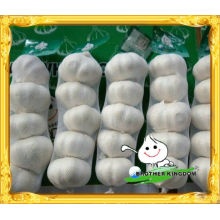 normal white garlic pure white garlic from china